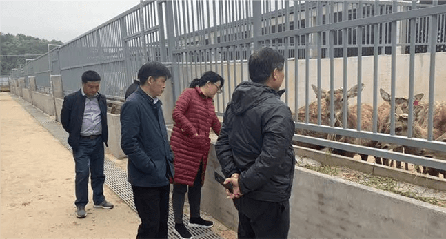 government history image