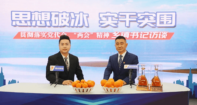 government history image