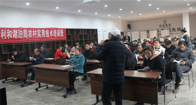 government history image