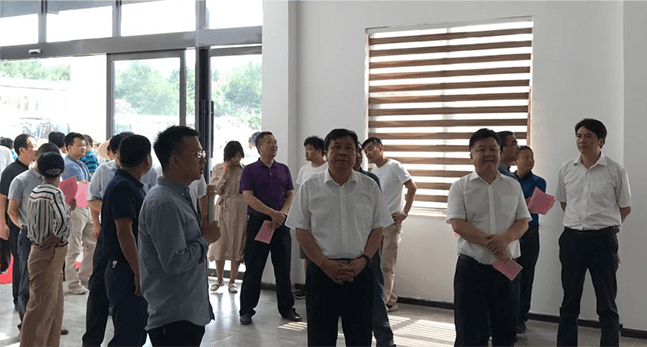 government history image