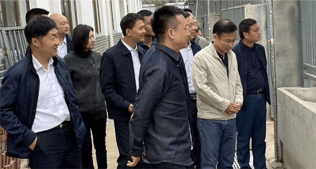 government history image