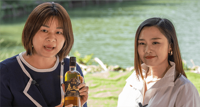 government history image