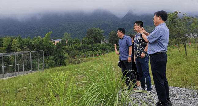 government history image