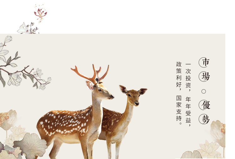 市场优势 一次投资，年年受益，政策利好，国家支持
