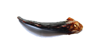 鹿尾
